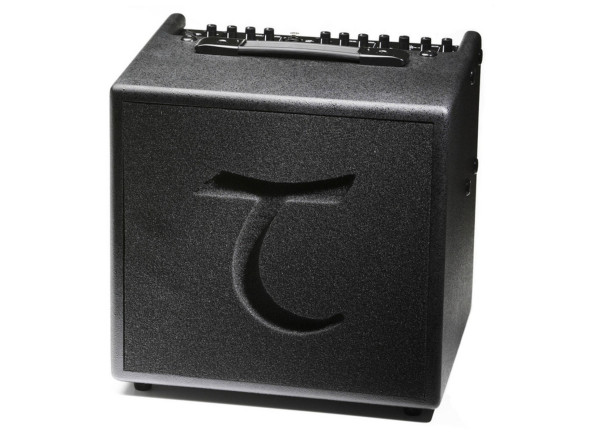 Tanglewood T6 Acoustic Guitar Combo Amp Tanglewood T6 Acoustic Guitar Combo Amp